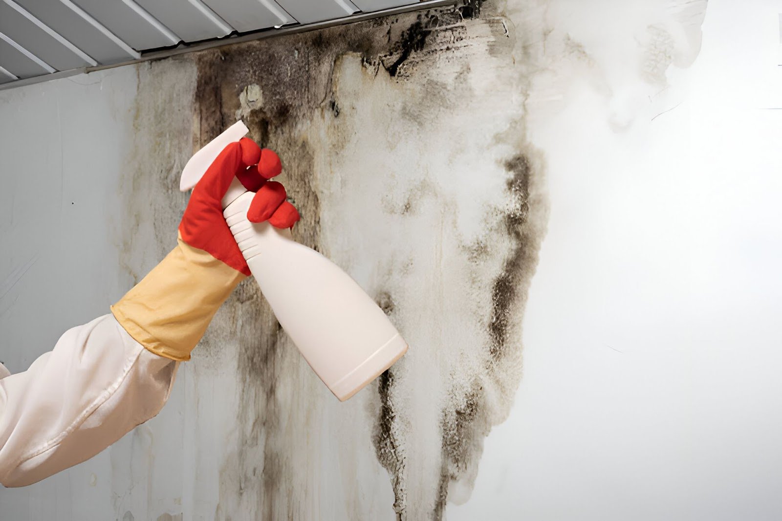 How To Remove Mould