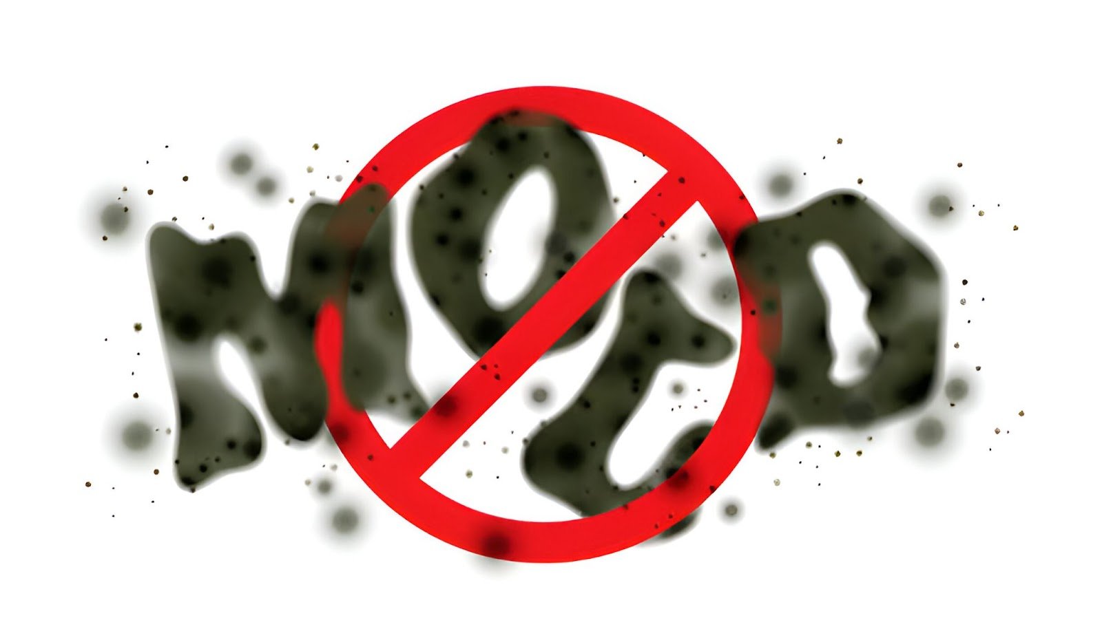 Dangers of Black Mould