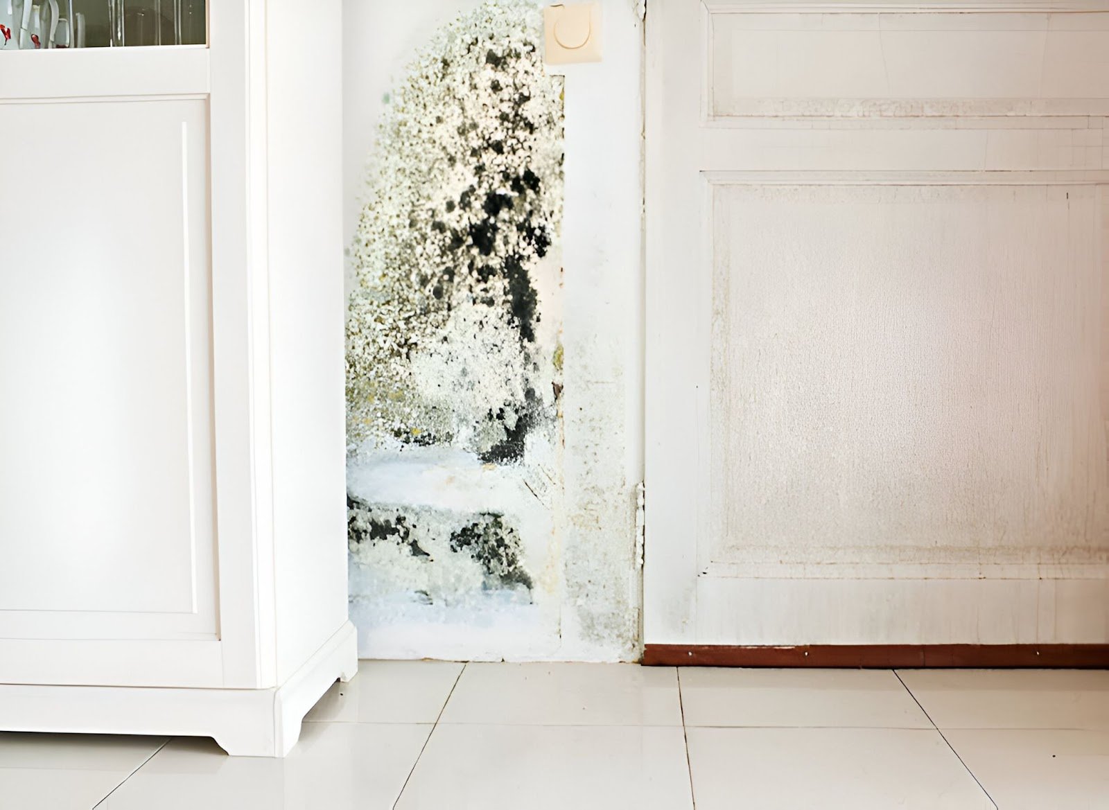 Is Black Mould on Ceiling Dangerous
