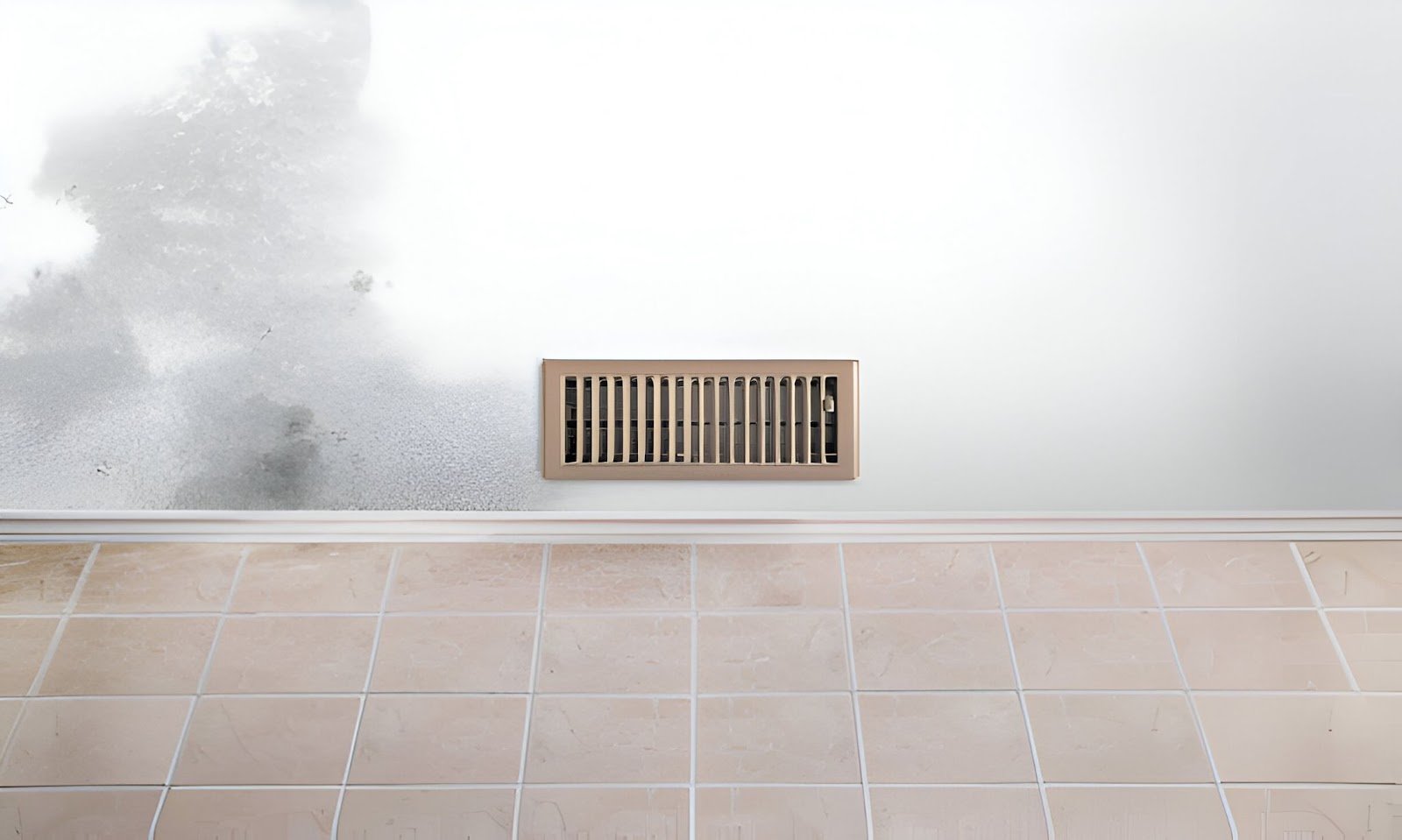 How to Get Rid of Mould and Clean Mould Off Walls Permanently