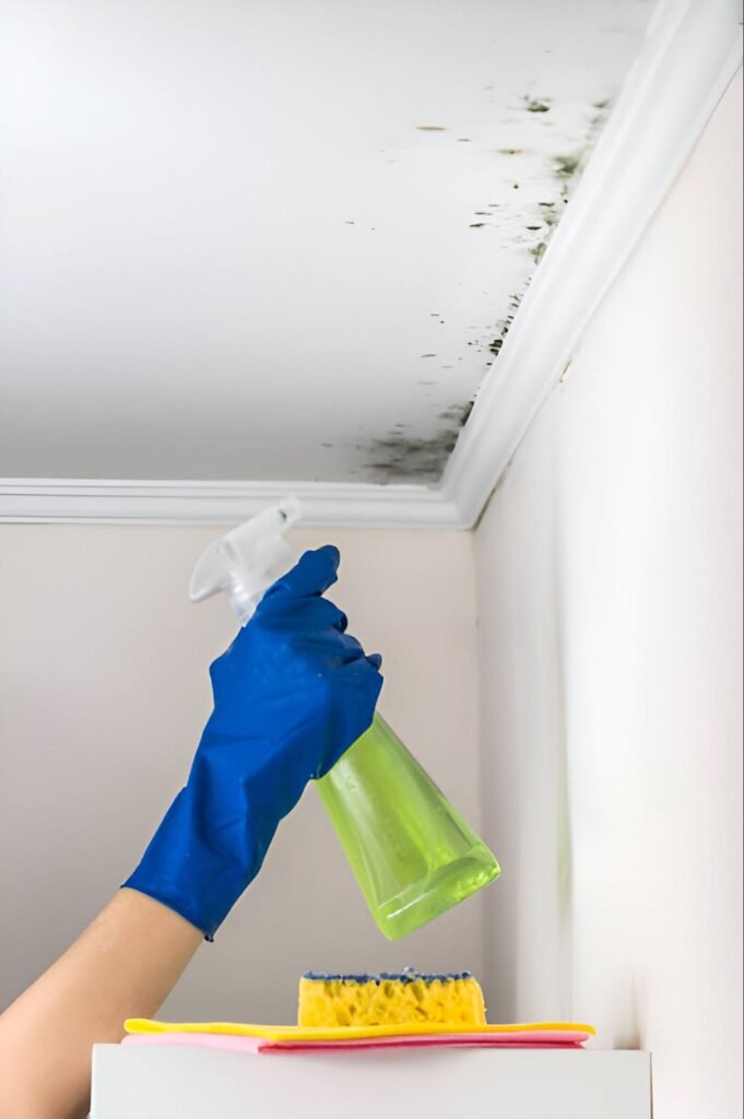 How To Remove Mould From Ceilings: Goodbye to Ceiling Mould
