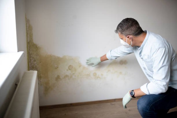 Man with mouth nose mask and blue shirt in front of wall with mold Man with mouth nose mask and blue shirt and gloves n front of white wall with mold mould stock pictures, royalty-free photos & images