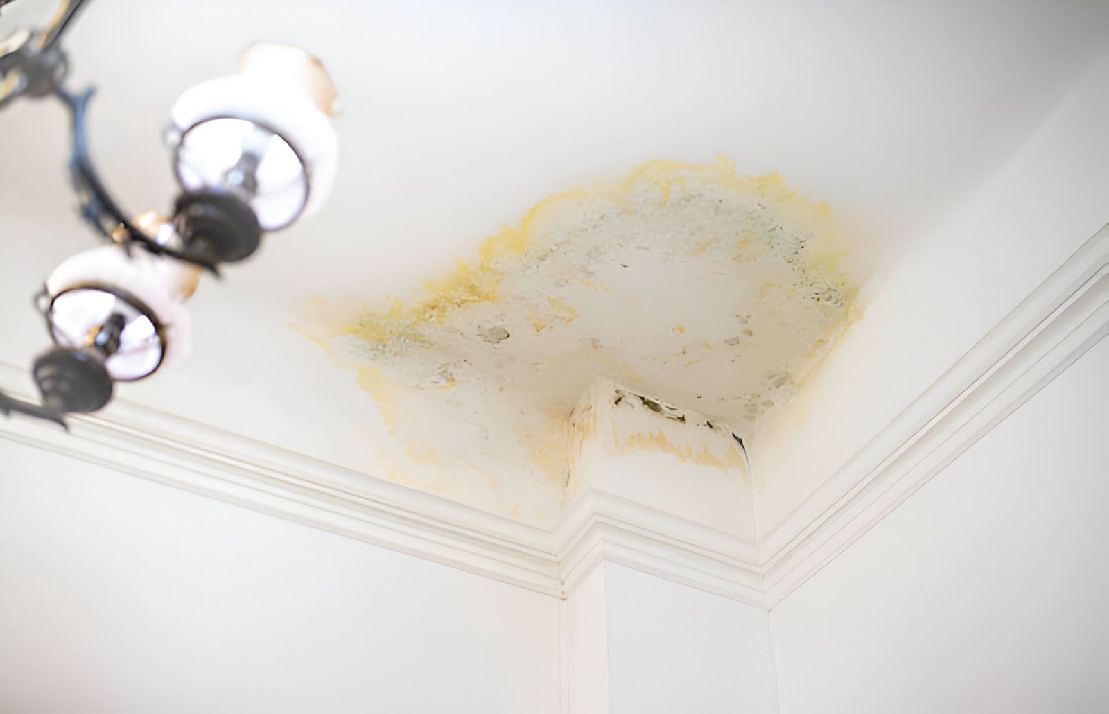 Prevent Mould on Ceiling