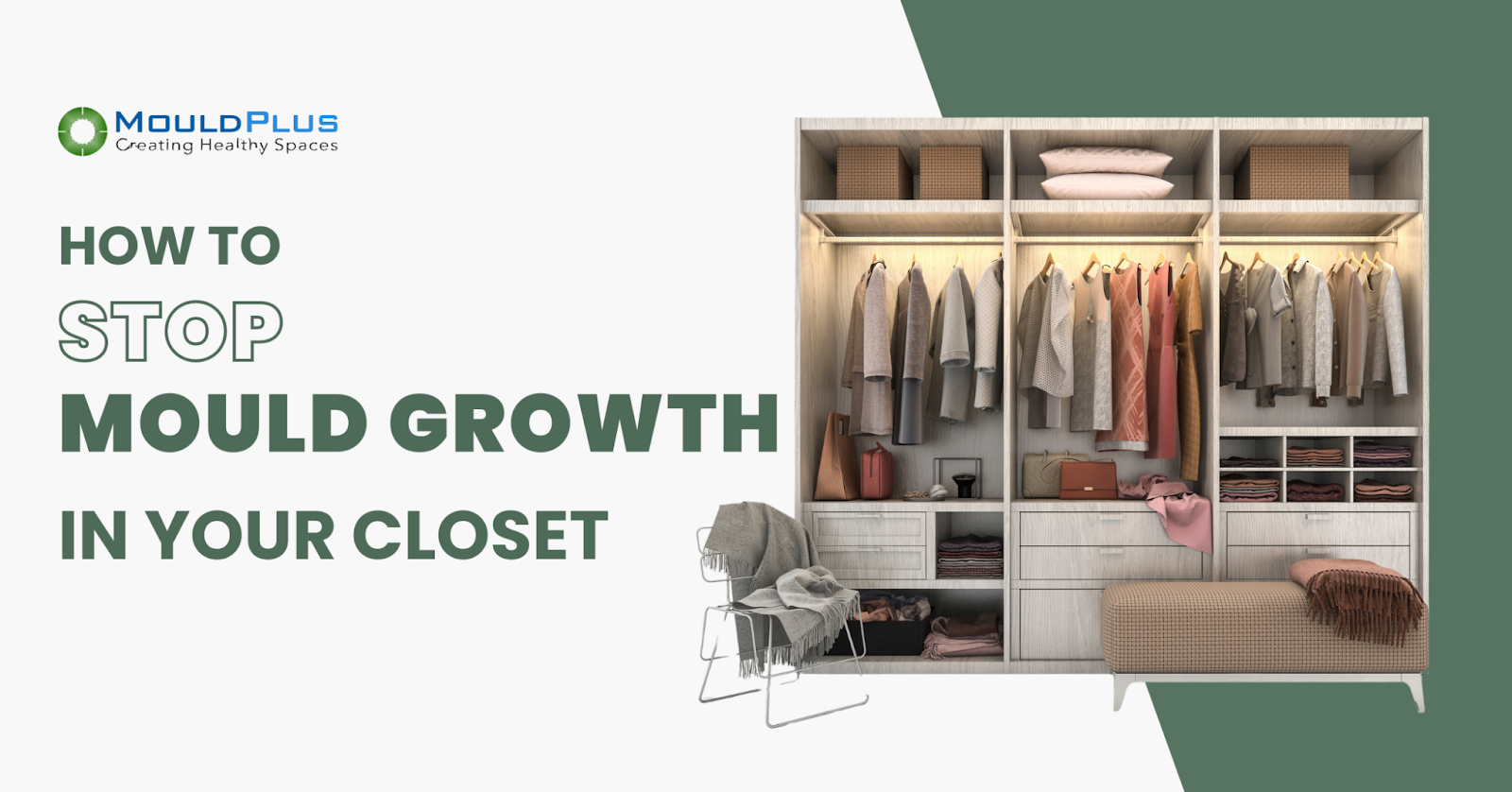 Tips to Prevent Mould Growth in Your Closet and Wardrobe