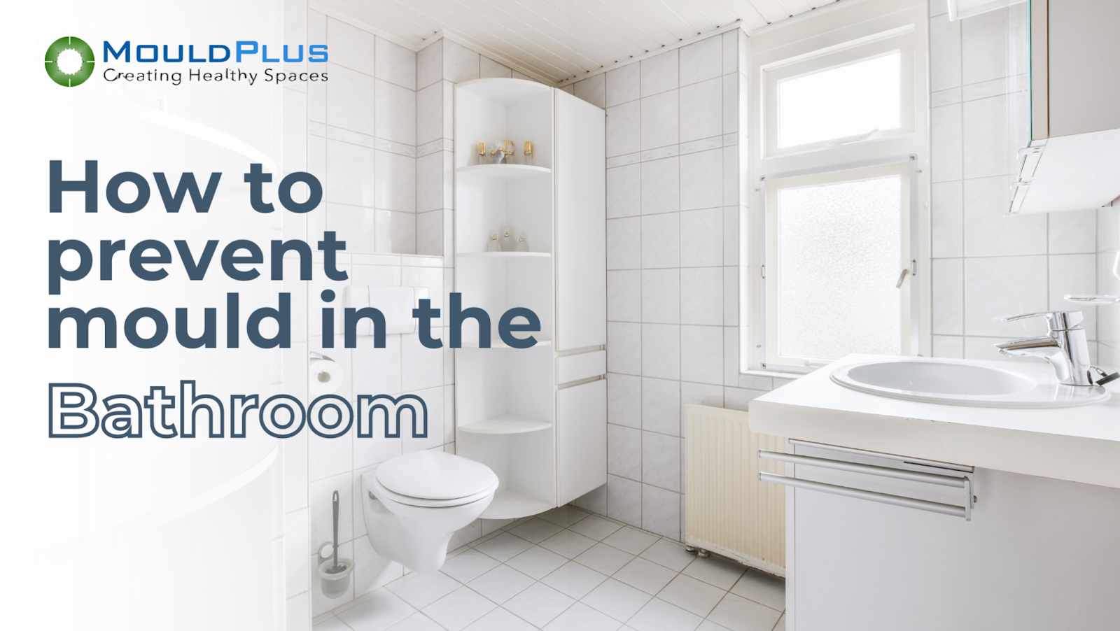 How to Prevent Mould in the Bathroom