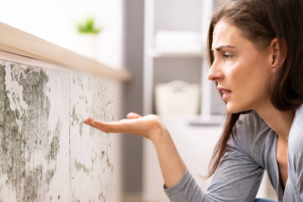 Shocked Woman Looking At Mold On Wall Side View Of A Shocked Young  Woman Looking At Mold On Wall mould stock pictures, royalty-free photos & images