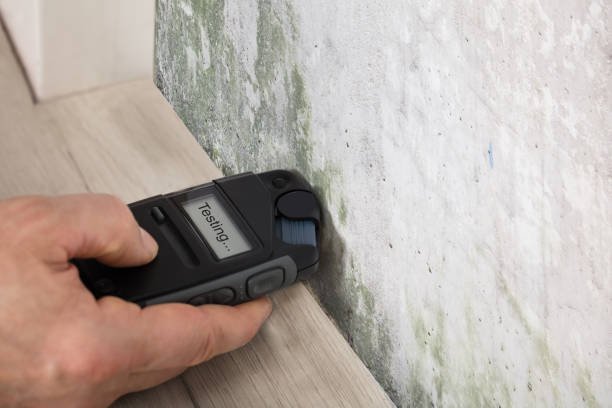  Mould Detection