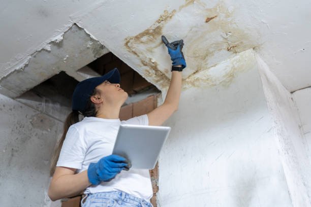 Damage Assessment Insurance Adjuster Inspecting Damages On Construction Site mould inspection stock pictures, royalty-free photos & images