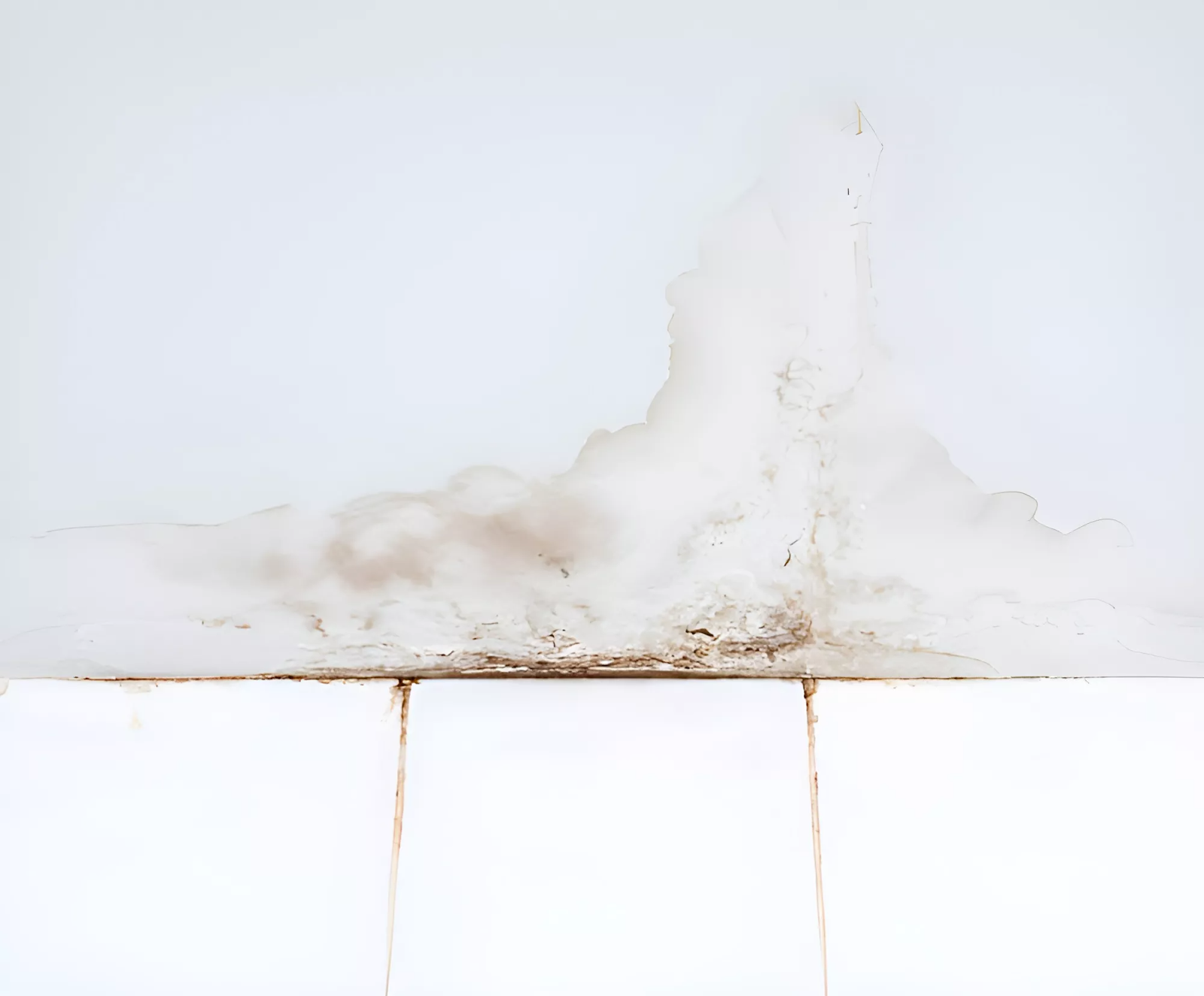 mold removal cost sydney