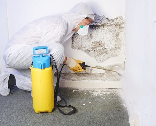 mould cleaner