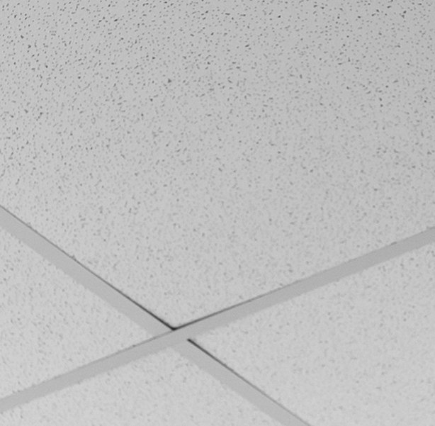 fluorescent-lamp-ceiling 1