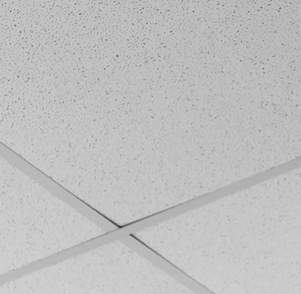 fluorescent-lamp-ceiling 1 fluorescent-lamp-ceiling 1